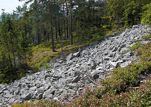 Pipek J., Ložek V., Šašek J. & Spilka J.: Will the Brdy Highlands Become a Protected Landscape Area?