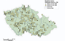 Excentrický stalagmitický výrůstek s apatitem z Eliščiných jeskyní v Sloupsko-šošůvských jeskyních je dlouhý 20 mm.