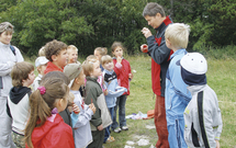 Nedávno uveřejněná studie ukazuje, že změna podnebí by mohla v Číně omezit <br />
přemnožování (gradace) saranče stěhovavé (Locusta migratoria).