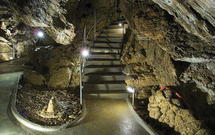 Vzácný netopýr velkouchý (Myotis bechsteini) 