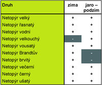 Charakter výskytu netopýrů v Chýnovské jeskyni