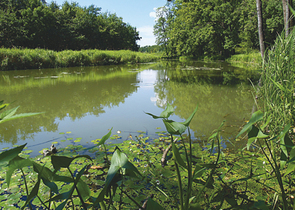 The Soutok – A New Protected Landscape Area in South Moravia?