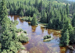 Povodně v podhůří Jizerských hor