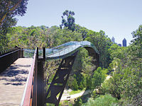 Stezka Lotterywest Federation Walkway v Kings Park v australském městě Perth, www.skyscrapercity.co 