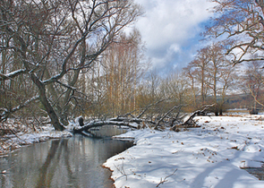 Meandry Svratky u Milov