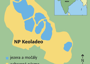 Říhová P.: The Keoladeo Ghana National Park