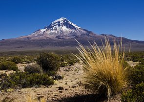 Bolivijské altiplano 