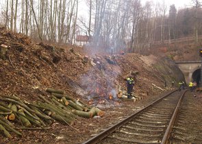 Povolování kácení dřevin ve vztahu k ustanovením jiných zákonů