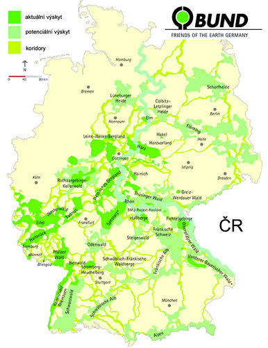 Mapa 2 Výskyt a trasy pohybu kočky divoké v Německu Zdroj www.bund-niedersachsen.de