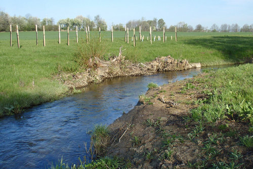 07 obr.7 Bżehovā porosty budou vznikat pżedevÁ°m n†letem