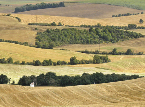 krajina na Kyjovsku _DSC1389