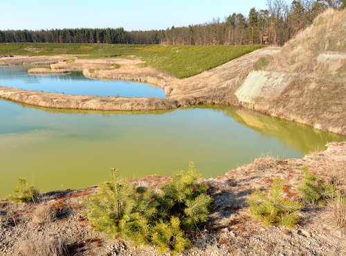 Biotopy vzniklā po tōßbō Átōrkop°skÖ v polab° Foto Zdenōk Patzelt DSC_0422