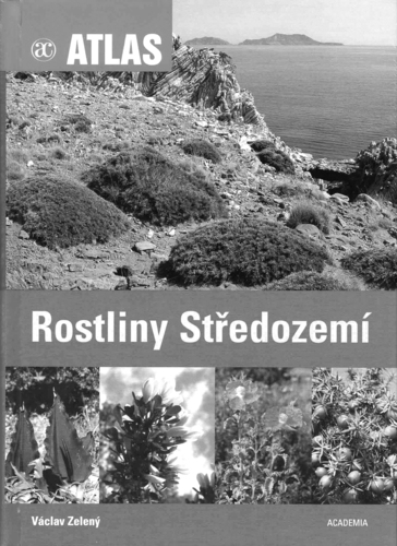 rostliny středozemí BW