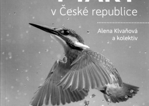 Kam za ptáky v České republice