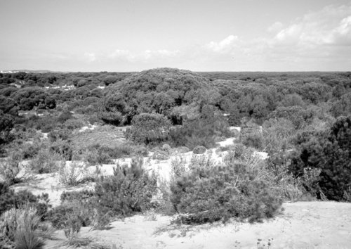 Obr. 3 BW