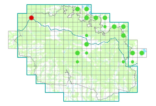 Obr2C_brambornicek_cernohlavy