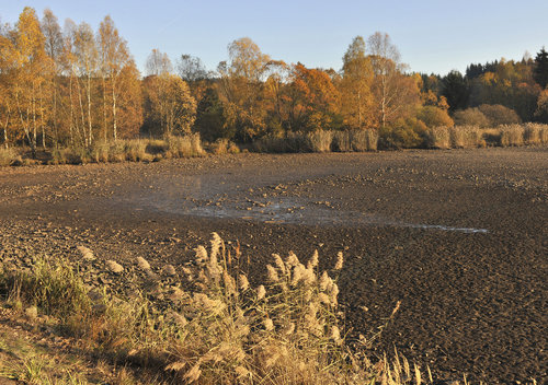 Bahnitā sedimenty v Padrúskžch rybn°c°ch foto archiv AOPK ¨R