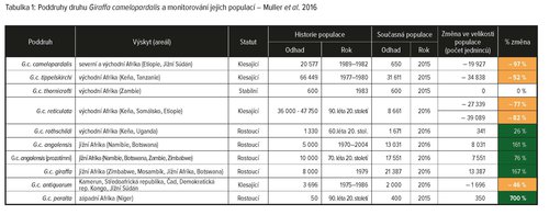 Stránky z žirafa až tak ohroženým II