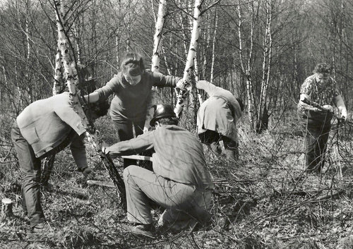 SPR Sluneünž dvÖr brig†da ROH SUPPOP 1971(3)