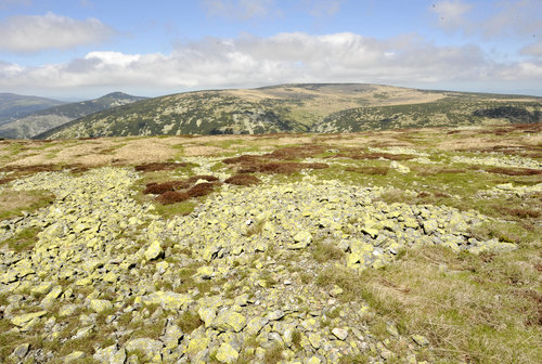 Na Lucni hore v Krkonosich. Foto archiv AOPK CR