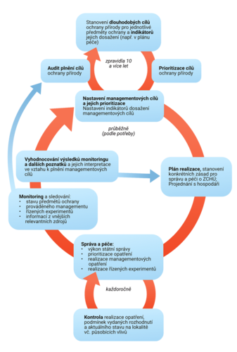 AMC schema obecne_final