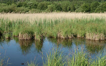 Pískovna.