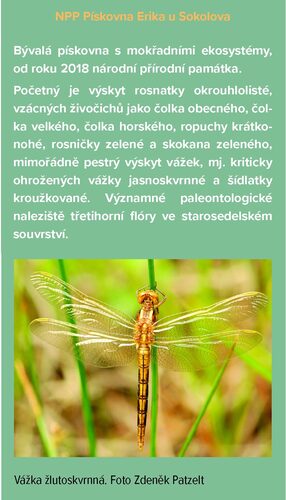 Box Pískovny a lomy