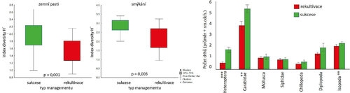 Figure 2 Diversity index and species numbers in the monitored taxa at reclaimed and spontaneously developing spoil heaps in the North Bohemian Brown Coal Basin.   © Markéta Hendrychová