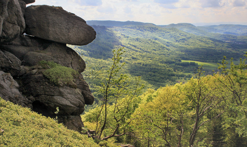 View of the the Jizerskohorské bučiny/Jizera Mountains Beech Forest. © Jiří Hušek