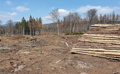 Damage to spruce monocultures by the European spruce bark beetle outbreak is an opportunity to change the forest management method and to restore species- and age-varied stands – pictured the Lužické hory/Lusatia Mts. Protected Landscape Area (northern Bohemia). © Pavel Pešout