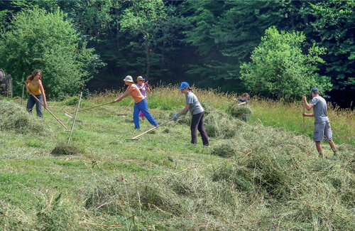 Mowing meadows in the Lopeník area in the zone II of the Bílé Karpaty/White Carpathians Mts. Protected Landscape Area. In accordance with the methodological instructions of the European Commission, it is possible to include areas where the necessary active management supports biological diversity into the so-called strict protection as well, including grazing and mowing meadows at an intensity and frequency corresponding to the ecological demands of the subject of protection. © Ivana Jongepierová
