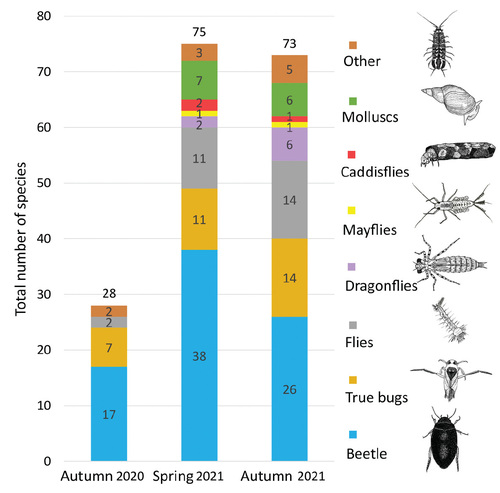 Figure 4: Total number of macroscopic aquatic invertebrate species found in the newly built pools within three samplings. The numbers in the columns express the number of species in the given invertebrate group (or higher taxa, genera or families, especially with flies). The "Other" group includes crustaceans, leeches, arachnids, and cnidarians. © Jana Petruželová
