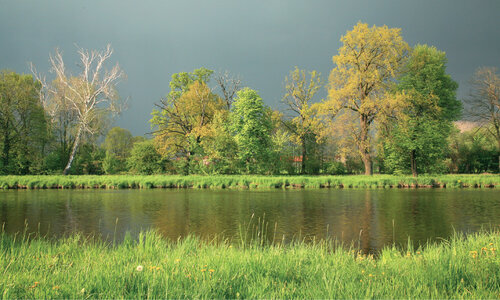 The Louky u Přelouče/Meadows near the town of Přelouč SAC was adopted by the Government in 2020. © Zuzana Růžičková