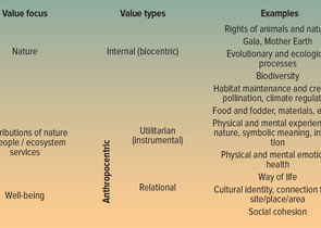 The National Platform on Ecosystem Services in the international context of nature conservation and