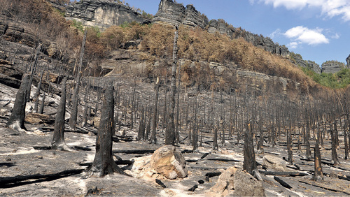 Pravčice/Prenisch Gorge, 11 August 2022. © Zdeněk Patzelt