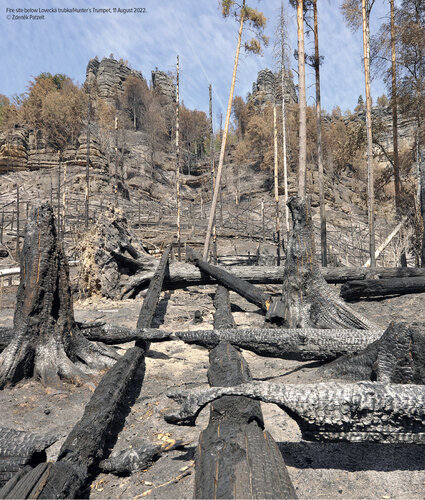 Fire site below Lovecká trubka/Hunter´s Trumpet, 11 August 2022. © Zdeněk Patzelt