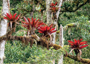 Protected Areas in the World: Current State and Prospects