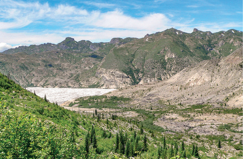 The Mount St Helens National Volcanic Monument covering 450 km2 within the Cascade Mountains (Washington State, U.S.A) was established after the volcano eruption in 1980. The whole area destroyed by the eruption was left to spontaneous development having resulted in a successful forest ecosystem restoration by nature there. © František Pelc