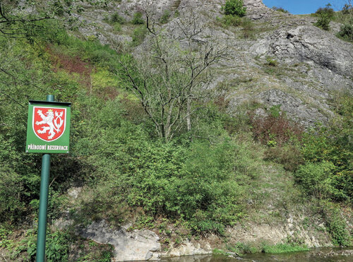 As it proved during the COVID-19 syndemics importance of green areas on the urban outskirts for human health has been underestimated (Daleje nad St Prokop Valleys Nature Park on the south-western margin of Prague). © Jan Plesník