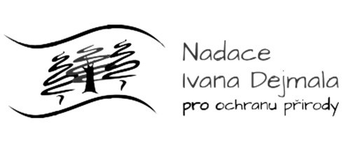 logo Nadace Ivana Dejmala