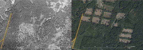 Obrázek 1: Srovnání leteckých snímků z roku 1938 a 2020 dokladuje, jak se změnil les. Dříve světlé porosty mají dnes 100 % pokryvnost. Na snímku z roku 2020 lze také spatřit dříve praktikovaný pasečný způsob s ponecháním výstavků a porostních žeber.   Vytvořil Vladan Riedl