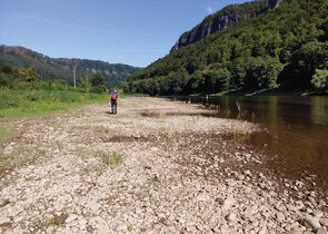 Přežije drobnokvět v Česku rok 2050?