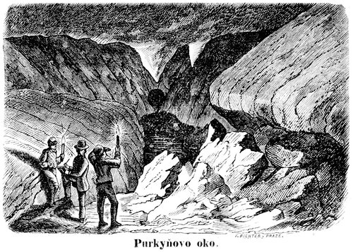 Rytina Purkyňovo oko  - 1863 (Živa, F. Richter)