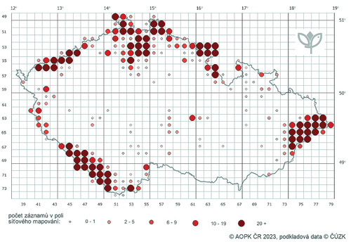 Výskyt vlka obecného (Canis lupus) na území České republiky v období 2000–2023 (AOPK ČR 2023). 