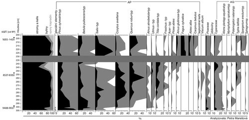Obrázek 5. Diagram se zjednodušenými výsledky pylové analýzy z lokality PR Březina. Řádky představují vrstvy sedimentu v dané hloubce a křivky ukazují, jak se v čase měnil poměr pylu, resp. spor jednotlivých druhů rostlin. Tento poměr do určité míry reflektuje složení okolní vegetace. Relativní abundance pylových typů a spor je uvedena černě, šedá plocha odpovídá  10× navýšení. Na okraji diagramu jsou vynesena kalibrovaná radiokarbonová data před současností [cal BP], která nám pomáhají určit stáří vrstev. První sloupec ukazuje poměr stromů, bylin a spor kapradin. Ve vrstvě 235 cm je vyznačen hiát, což je období, kdy se rašelinný sediment neukládal nebo došlo k jeho rozložení, a v záznamu tak máme zatím přesněji nedatovanou mezeru. AP – pyl dřevin a keřů, AQ – pyl a spory vodních a vlhkomilných druhů.