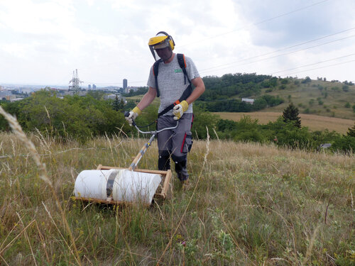 8. Ruční sklízeč osiva ZO ČSOP Pozemkový spolek Hády.   Foto Jan Moravec