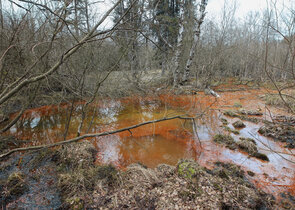 Algologický a paleoekologický průzkum vybraných minerálních pramenů CHKO Slavkovský les