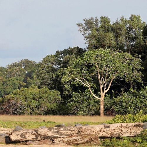 Countryside at Gabon