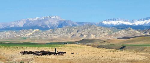 Adyrs, ecosystems of submontane plains and low hills on the foothills of the Pamir-Alay Mts. are damaged by overgrazing. In the background of the picture, Gissar Mountains.