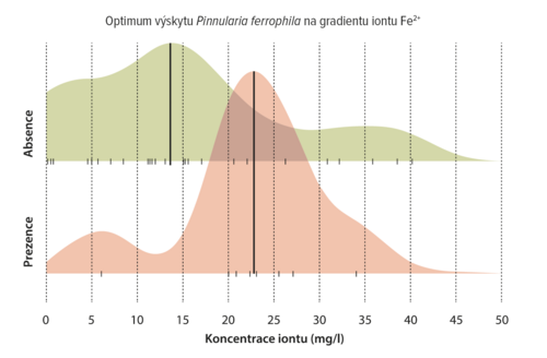 graf_01_pinnularia_ferrophila